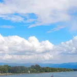 Roeien in Breisach am Rhein